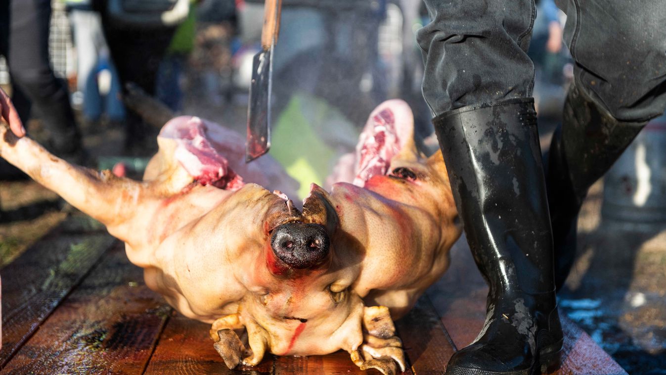 Tilos lesz nyilvánosan húst enni?