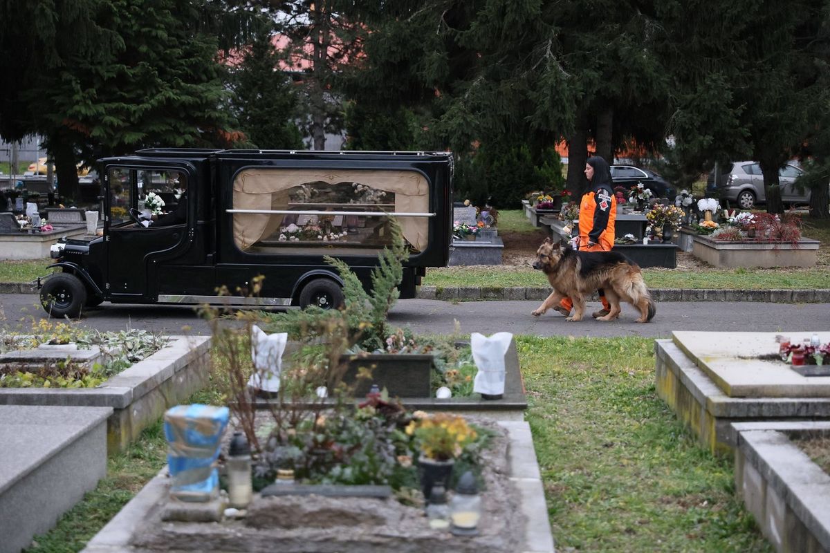 SZÍVSZORÍTÓ pillanatok