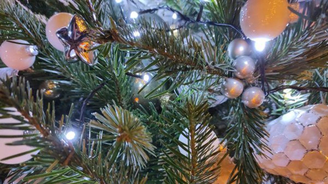 Sportcsillagok karácsonya (PS-exkluzív!)