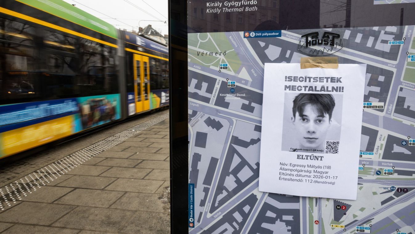 Eltűnések és a Lánchíd: két tragikus budapesti rejtély - Ophélie Bretnacher és Egressy Mátyás