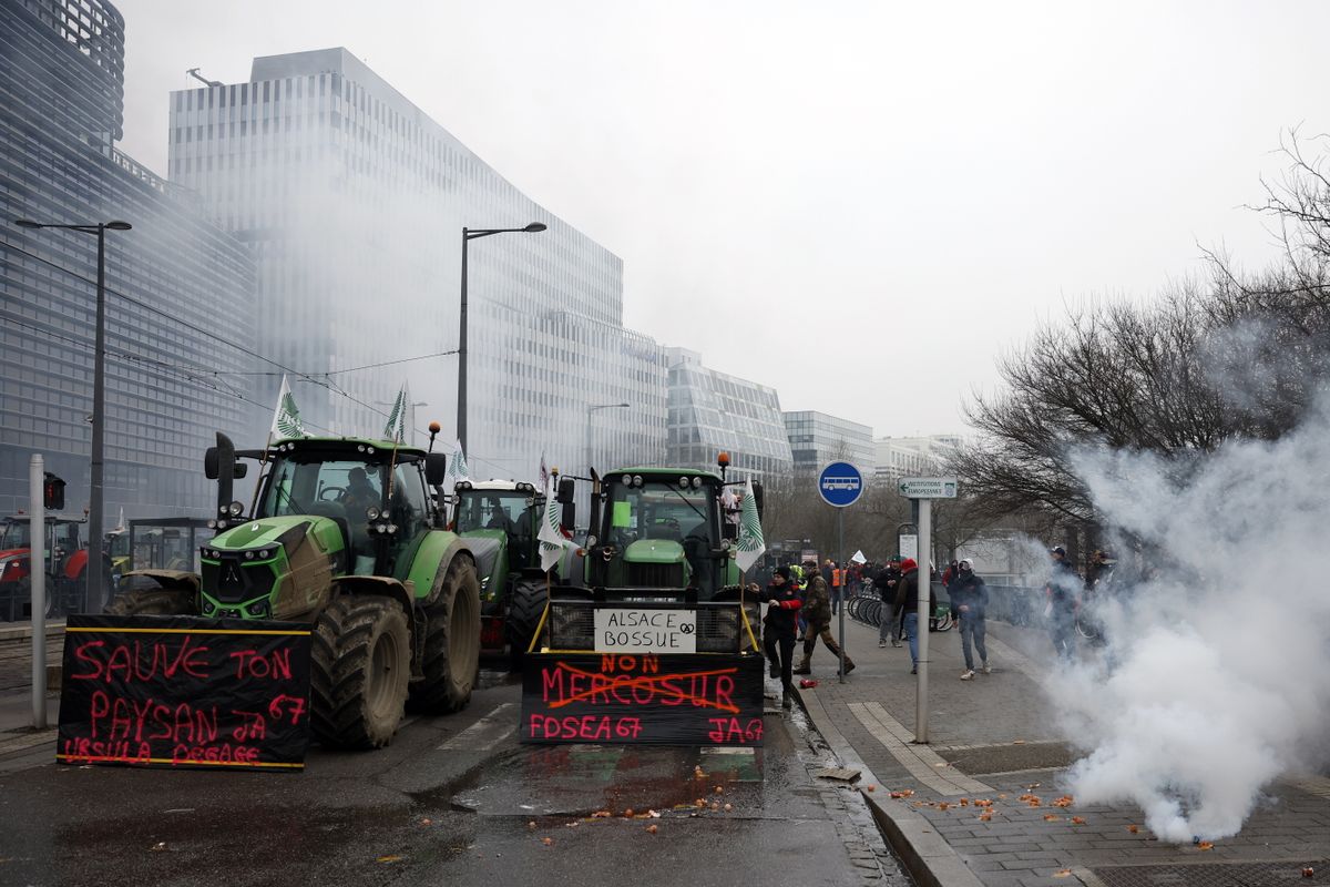 Európai Unió, marhatermelő, Brüsszel