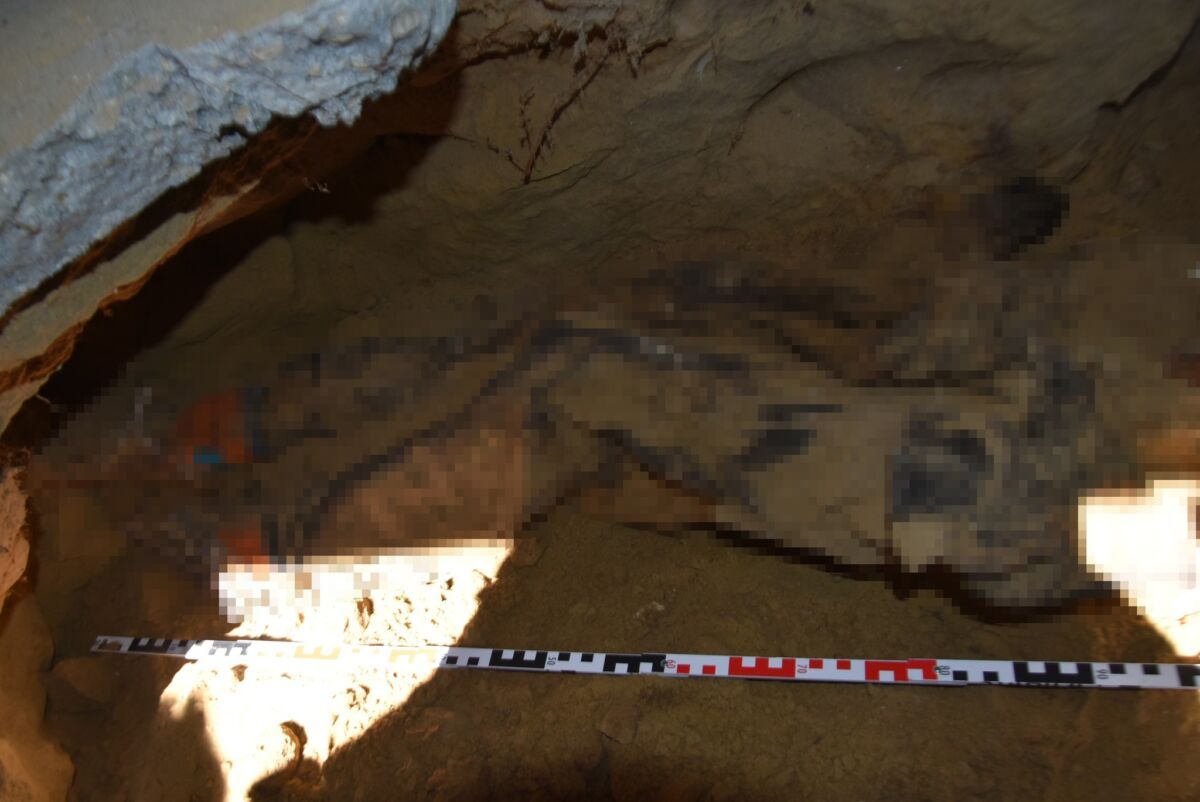 TILL Tamás meggyilkolása