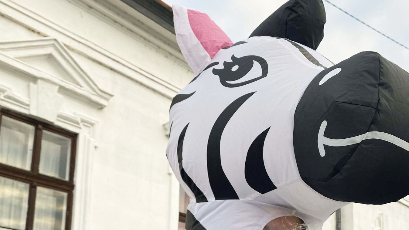 Zebra és politikai pedofília, avagy magát is alulmúlta a Tisza Párt