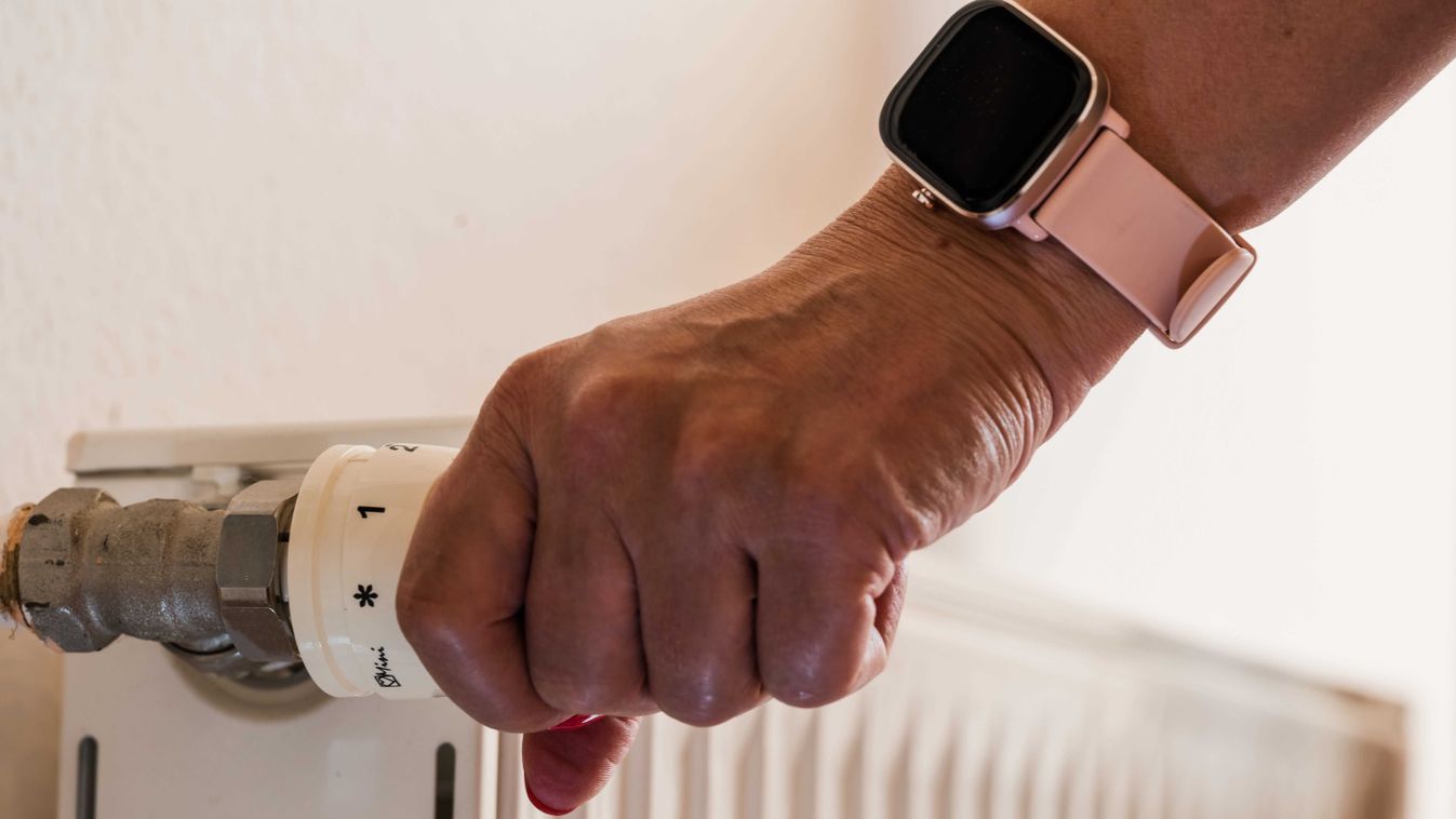 Megbízhatóan rosszindulatú