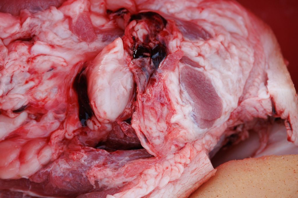 20260214 -- Győrvári Böllérfesztivál // fotó: Hatlaczki Balázs