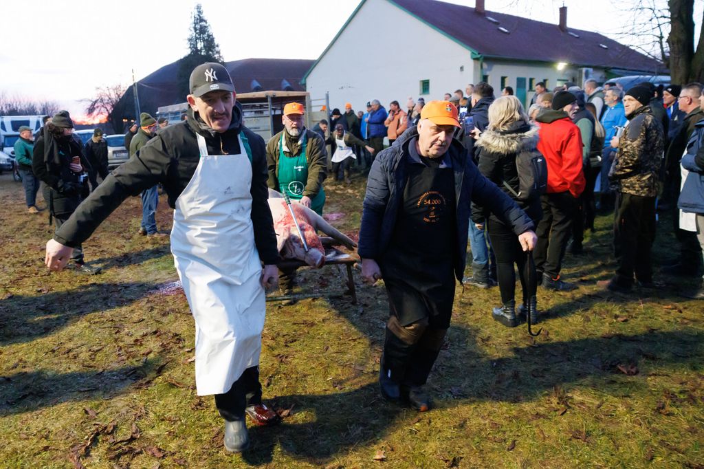 20260214 -- Győrvári Böllérfesztivál // fotó: Hatlaczki Balázs