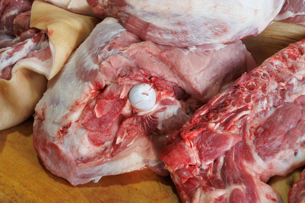 20260214 -- Győrvári Böllérfesztivál // fotó: Hatlaczki Balázs