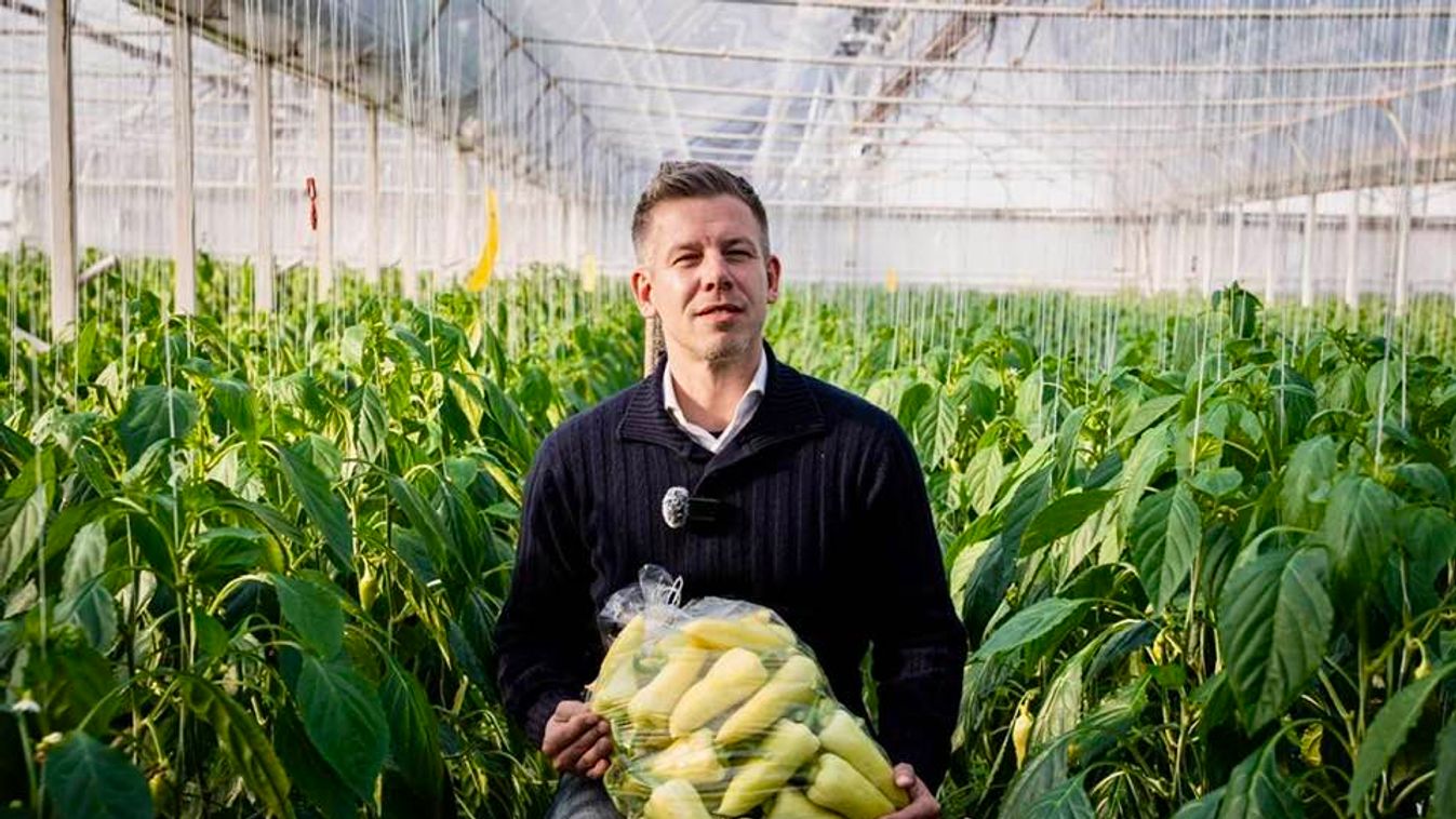 A fiktív valóság, amit politikának hívnak