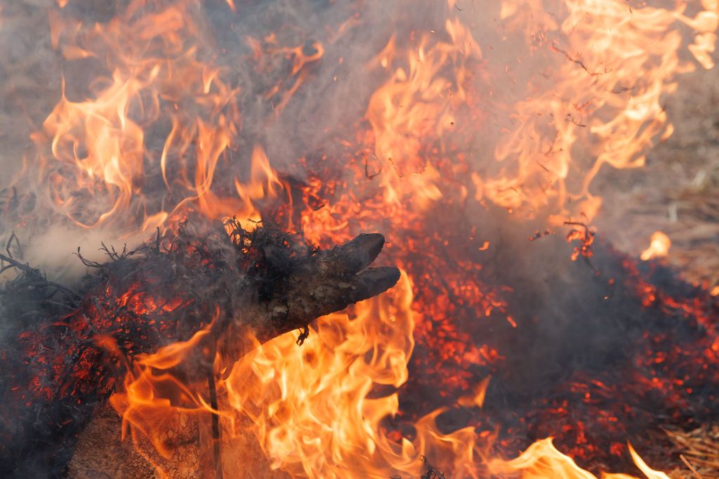 20260214 -- Győrvári Böllérfesztivál // fotó: Hatlaczki Balázs