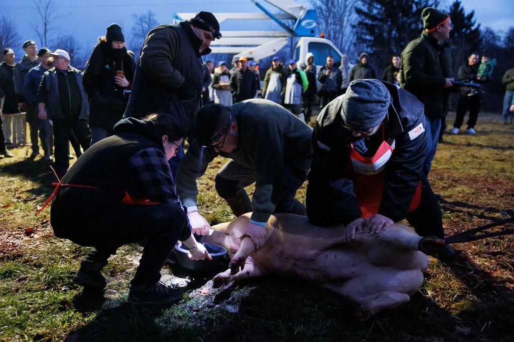 20260214 -- Győrvári Böllérfesztivál // fotó: Hatlaczki Balázs