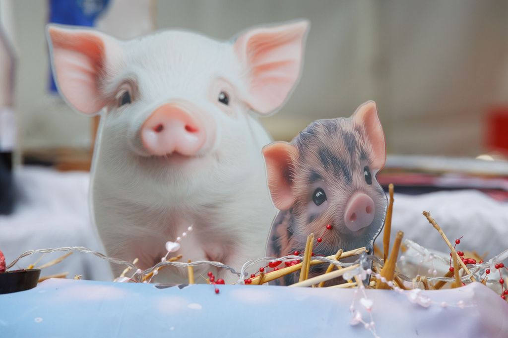 20260214 -- Győrvári Böllérfesztivál // fotó: Hatlaczki Balázs