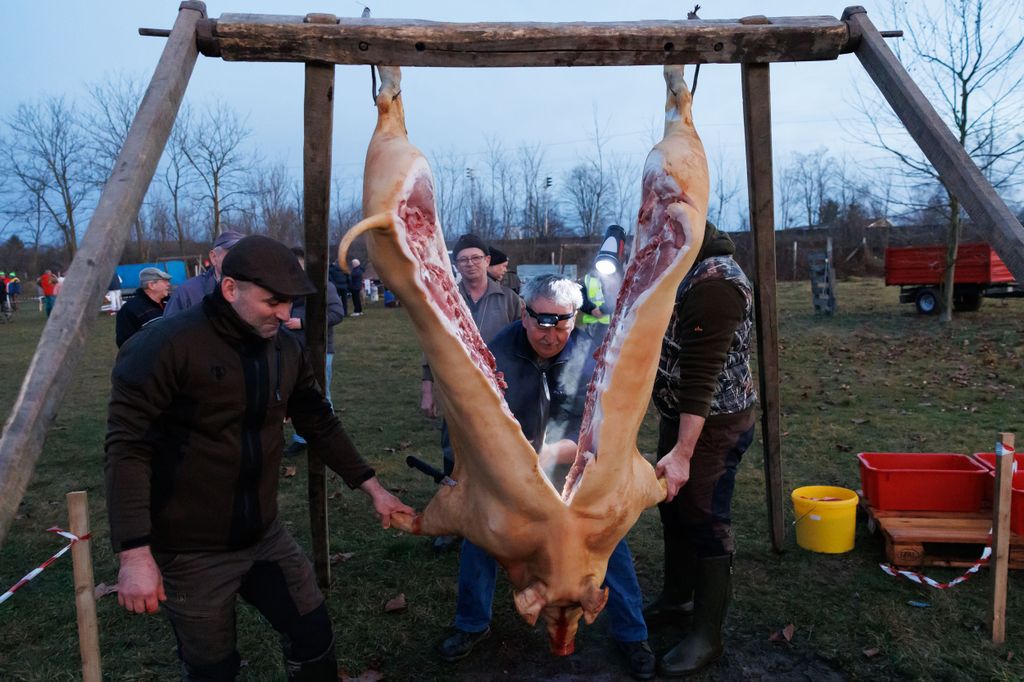 20260214 -- Győrvári Böllérfesztivál // fotó: Hatlaczki Balázs