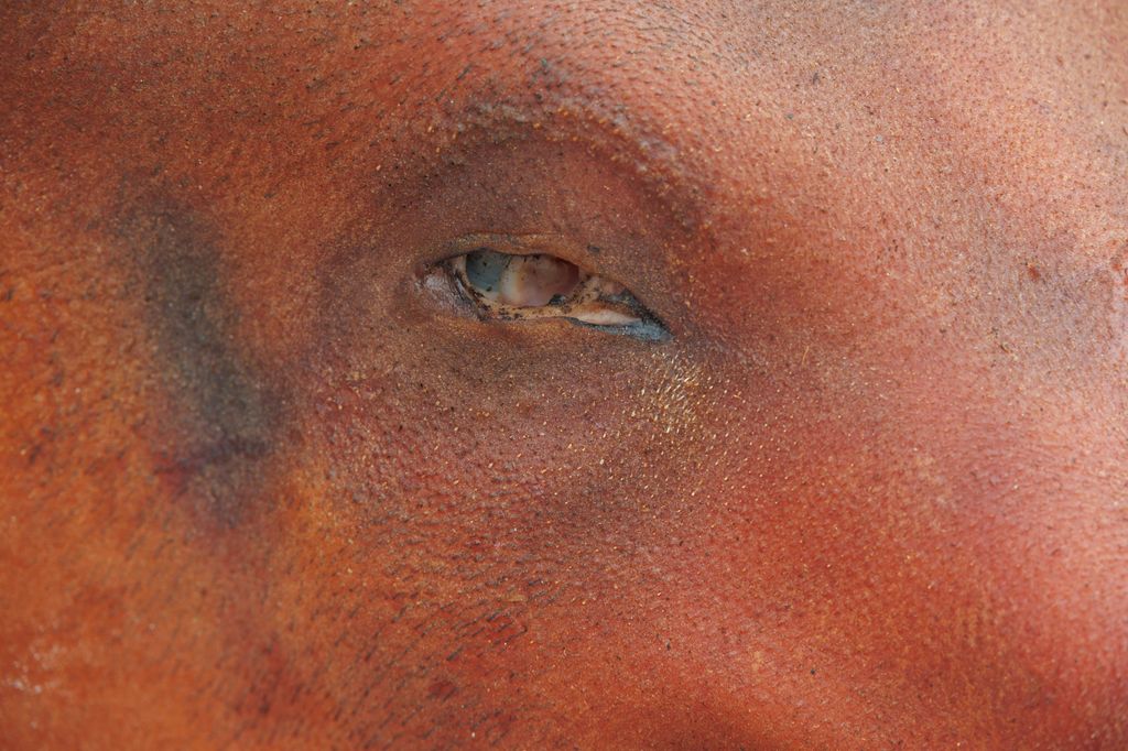 20260214 -- Győrvári Böllérfesztivál // fotó: Hatlaczki Balázs