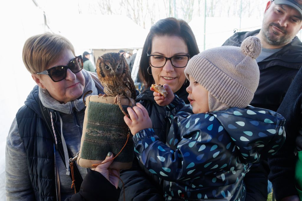20260214 -- Győrvári Böllérfesztivál // fotó: Hatlaczki Balázs