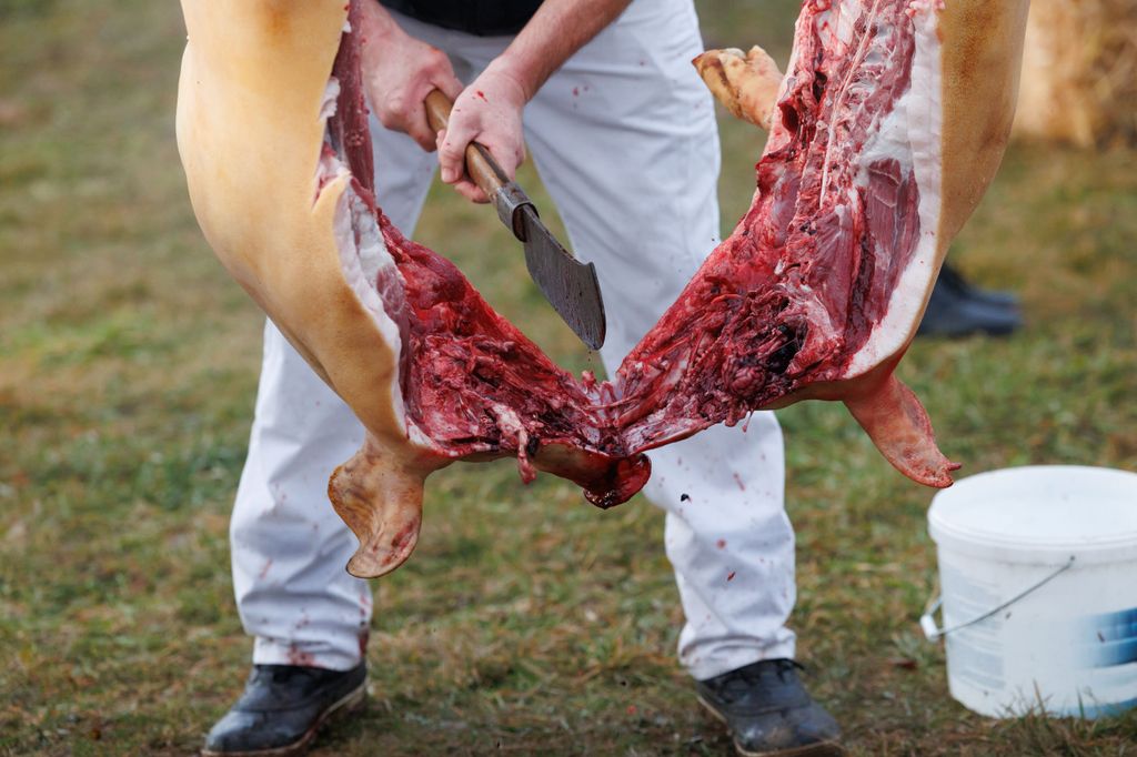 20260214 -- Győrvári Böllérfesztivál // fotó: Hatlaczki Balázs