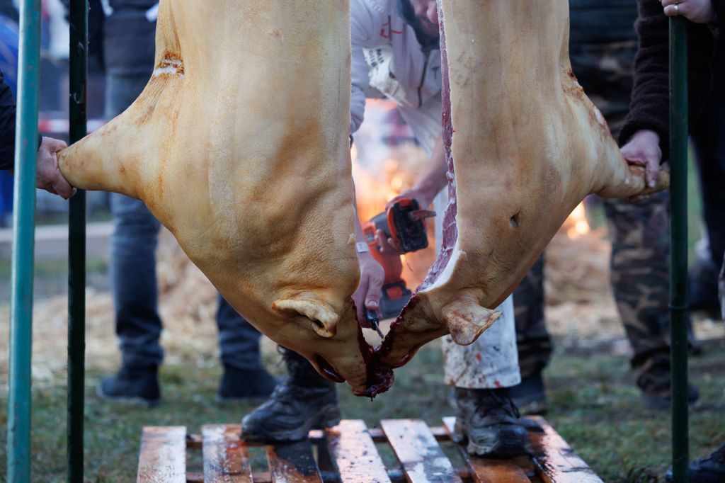 20260214 -- Győrvári Böllérfesztivál // fotó: Hatlaczki Balázs