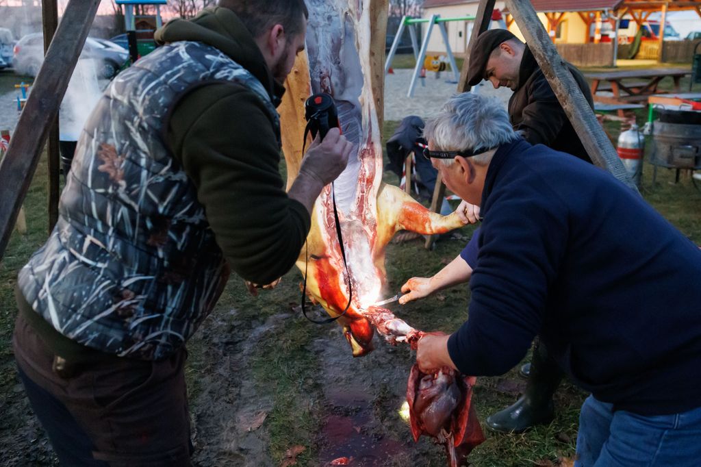 20260214 -- Győrvári Böllérfesztivál // fotó: Hatlaczki Balázs