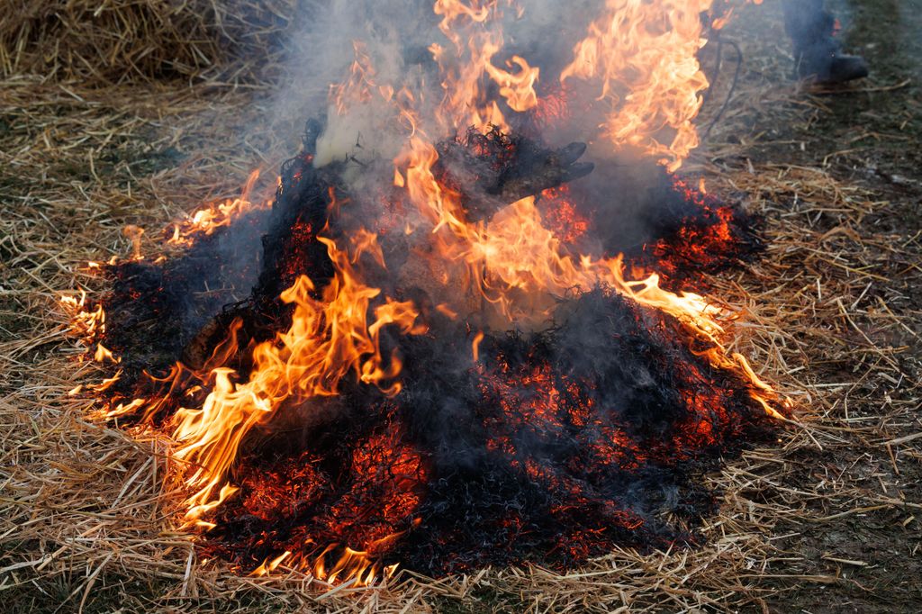 20260214 -- Győrvári Böllérfesztivál // fotó: Hatlaczki Balázs