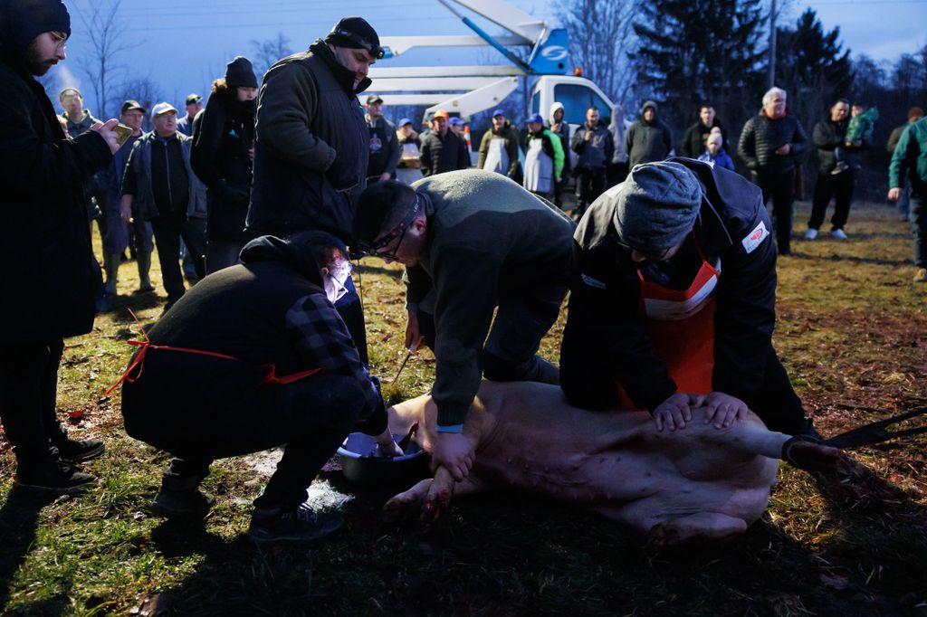 20260214 -- Győrvári Böllérfesztivál // fotó: Hatlaczki Balázs