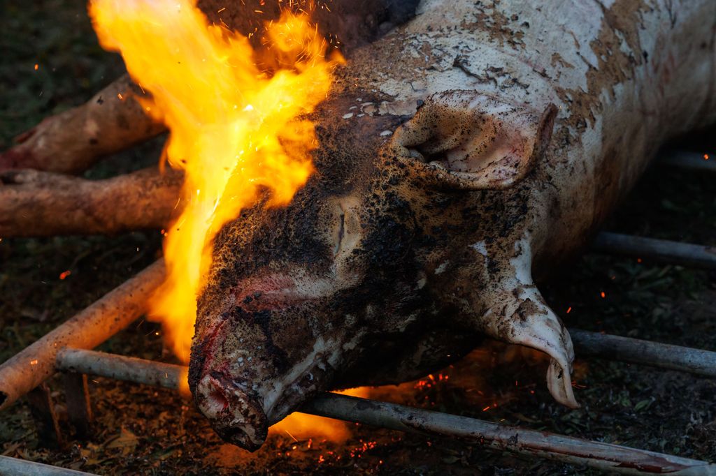 20260214 -- Győrvári Böllérfesztivál // fotó: Hatlaczki Balázs