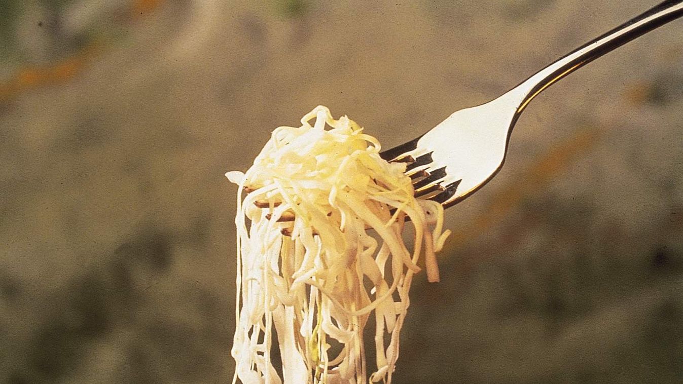 Hungarikum lett a tepertős pogácsa és a vecsési savanyú káposzta