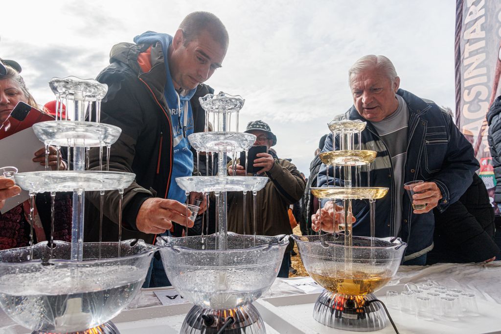 20260214 -- Győrvári Böllérfesztivál // fotó: Hatlaczki Balázs