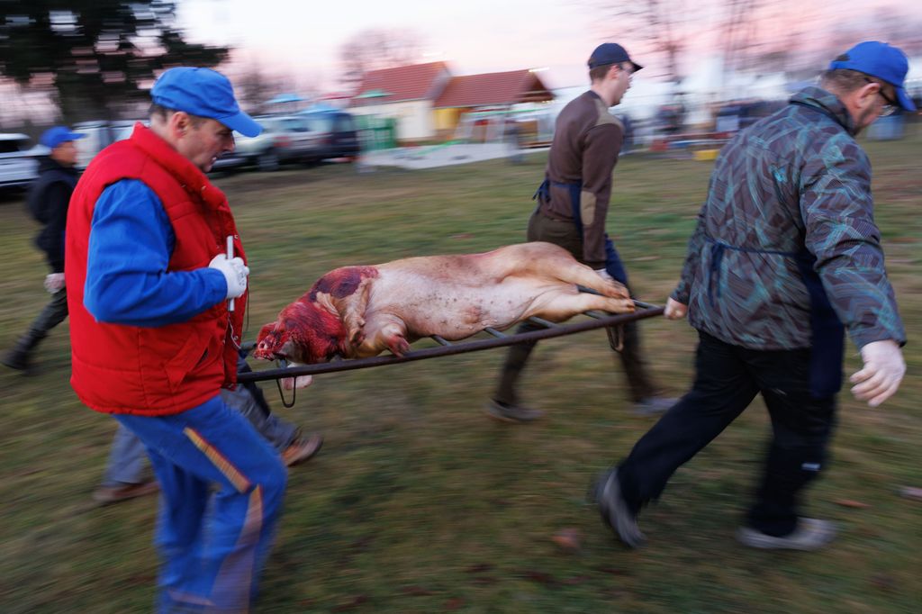 20260214 -- Győrvári Böllérfesztivál // fotó: Hatlaczki Balázs