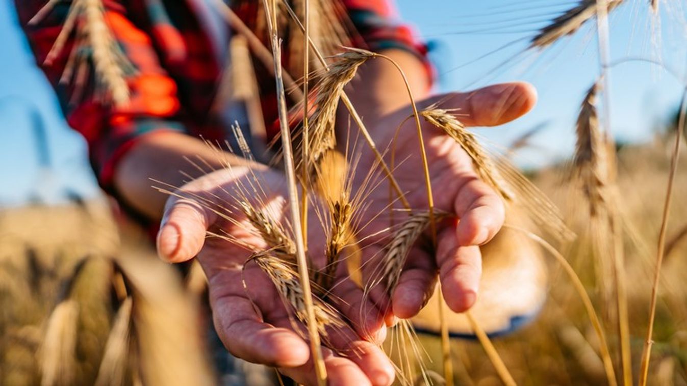 Egy hónap alatt több mint 120 ezren írták alá az agrárpetíciót