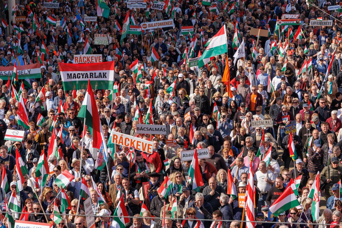  A muciológusok most a szelfibotot vetik össze a cellainformációkkal.