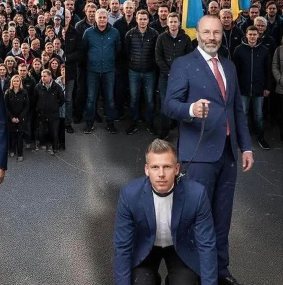 Manfred ölebét megnyugtatják a kék-sárga színek