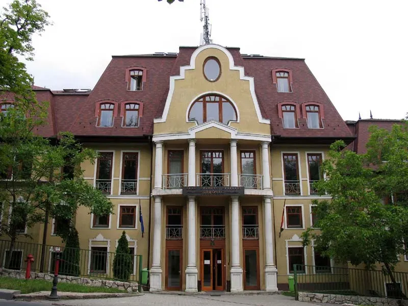 POLITIKAI indíttatás nincs