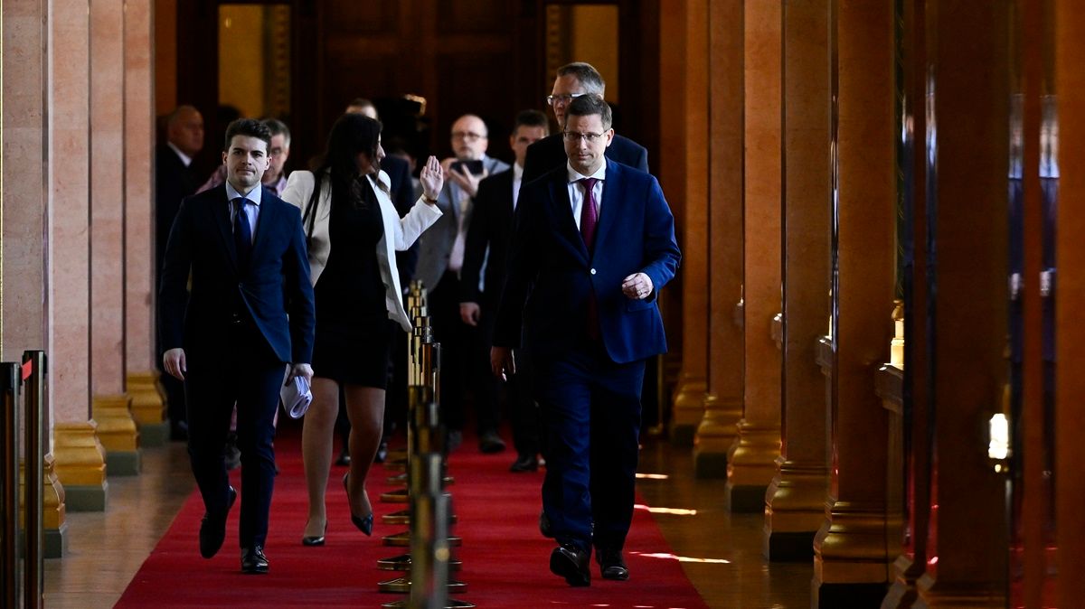 GULYÁS Gergely, Fidesz frakció