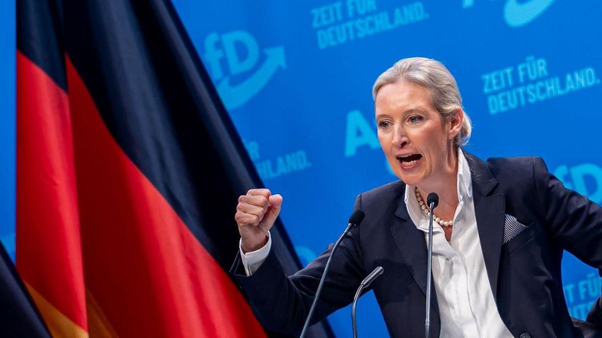 Alice Weidel, az AfD vezetője