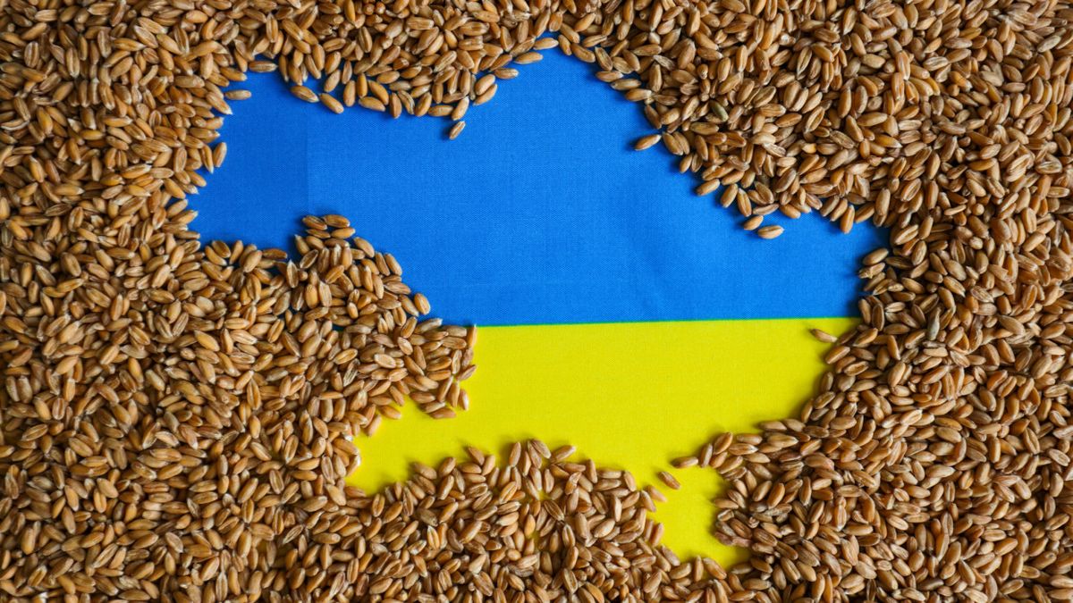 Ukrán áruk kontra magyar érdekek