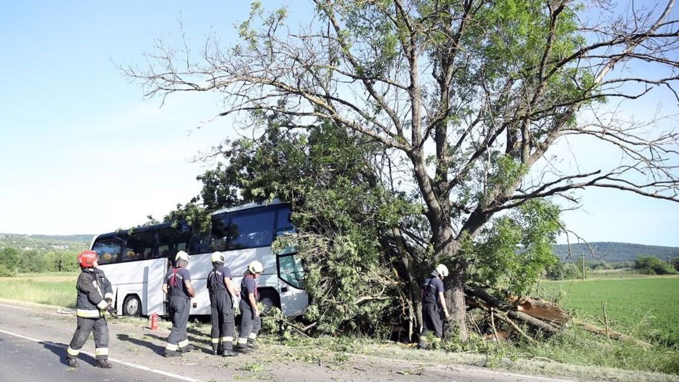 Busztragédia Pécs-Hirdnél: egy 14 éves lányt még mindig kórházban ápolnak – új részletek derültek ki a sérültekről