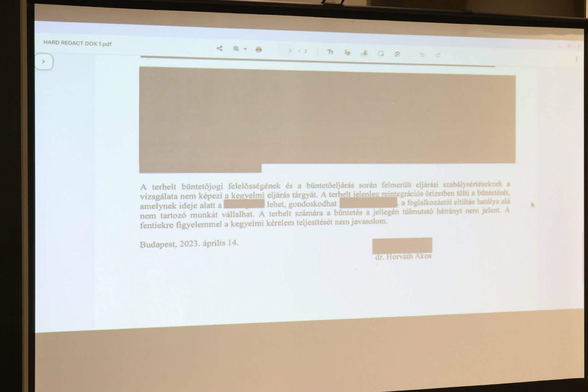 Magyar Péter és a nyilvános dokumentumok esete