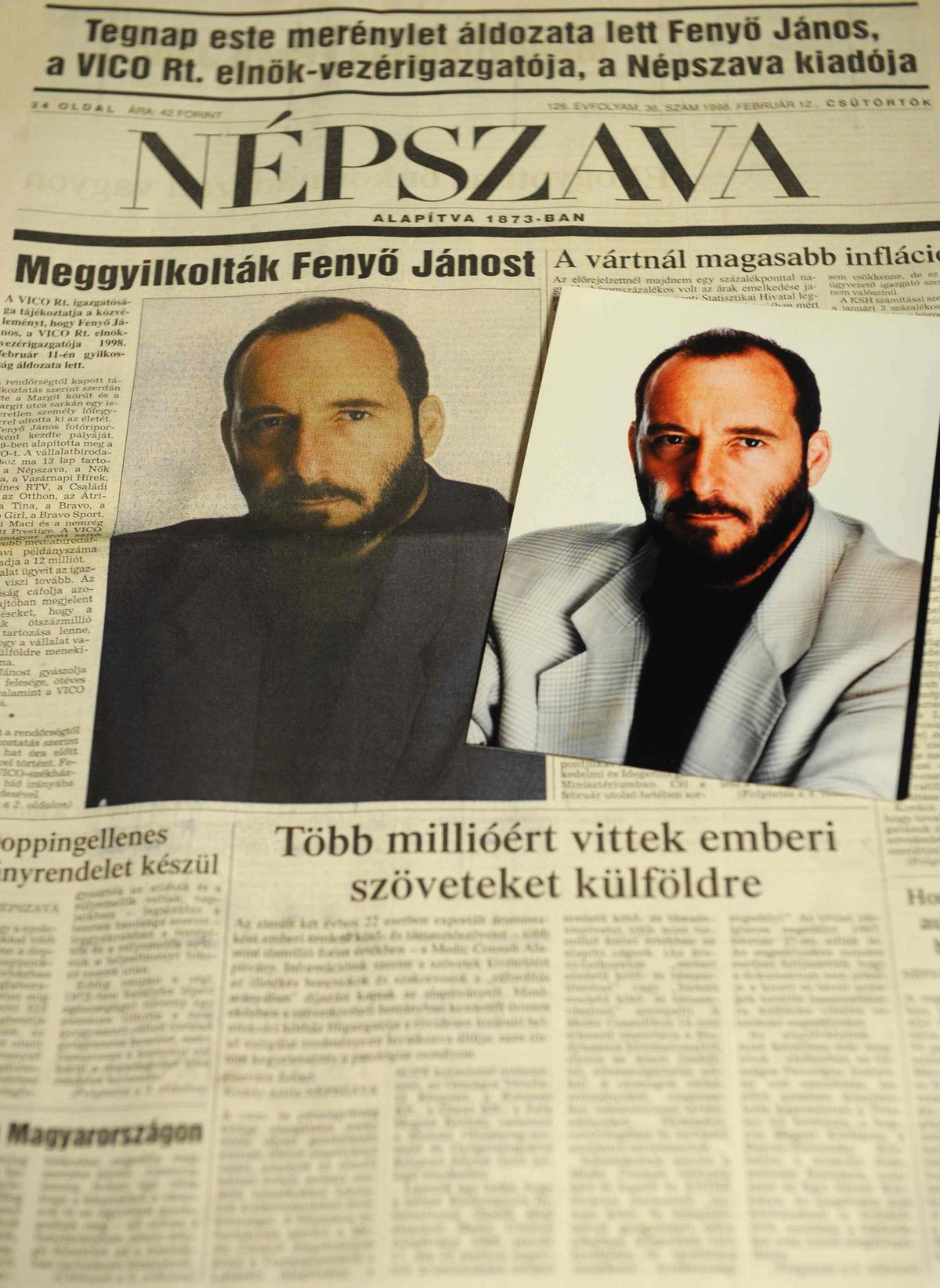 GYÁRFÁS, perújítás, Fenyő