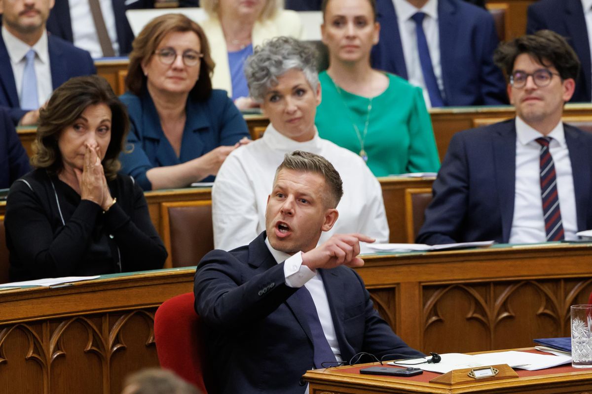 Magyar Péter vajon a saját gyerekeit is nyugodt szívvel bízta volna meleg párokra? Fotó: Hatlaczki Balazs
