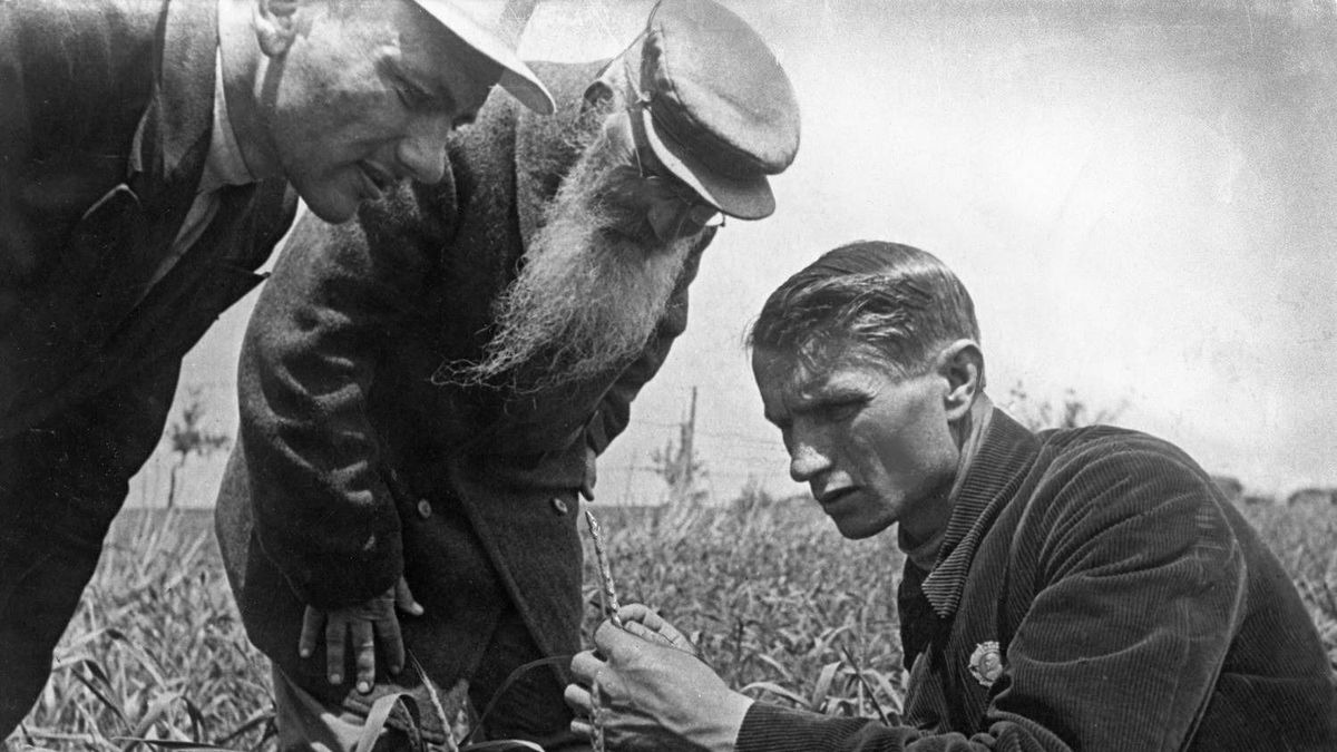 A tudomány az ideológia szolgálóleánya