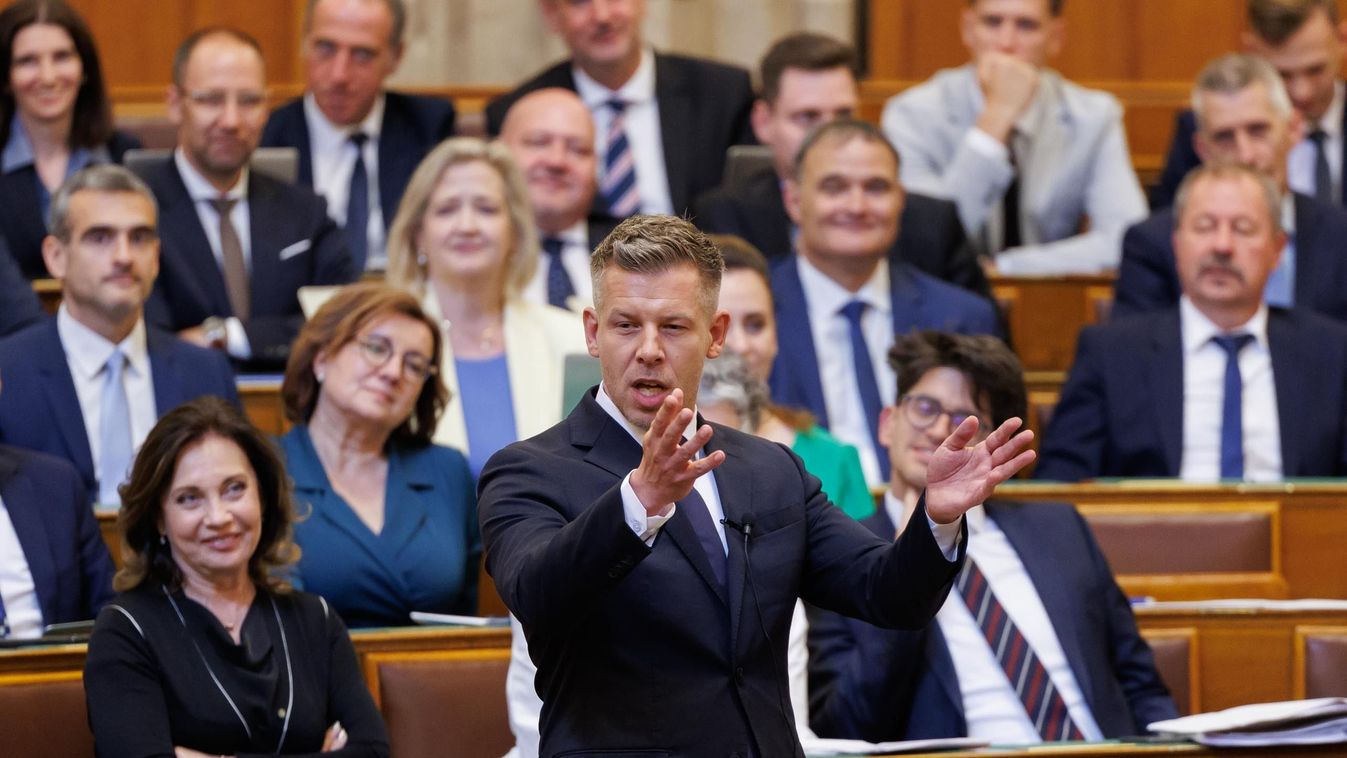 Magyar Péter szerint a gyerekek jó kezekben lesznek a meleg pároknál